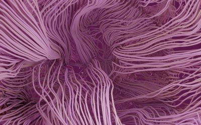 The 15 Best Presentation Software for Creating Engaging Visual Storytelling in 2023